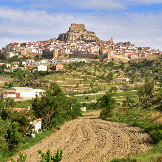 MORELLA MORELLA